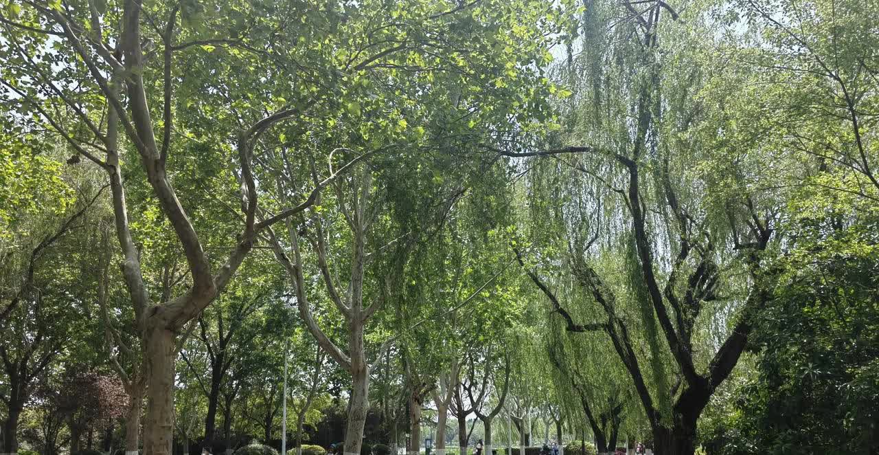 等了三个小时科二，挂了！
中午11点顶着大太阳到考场，硬生生等到下午两点，晒得