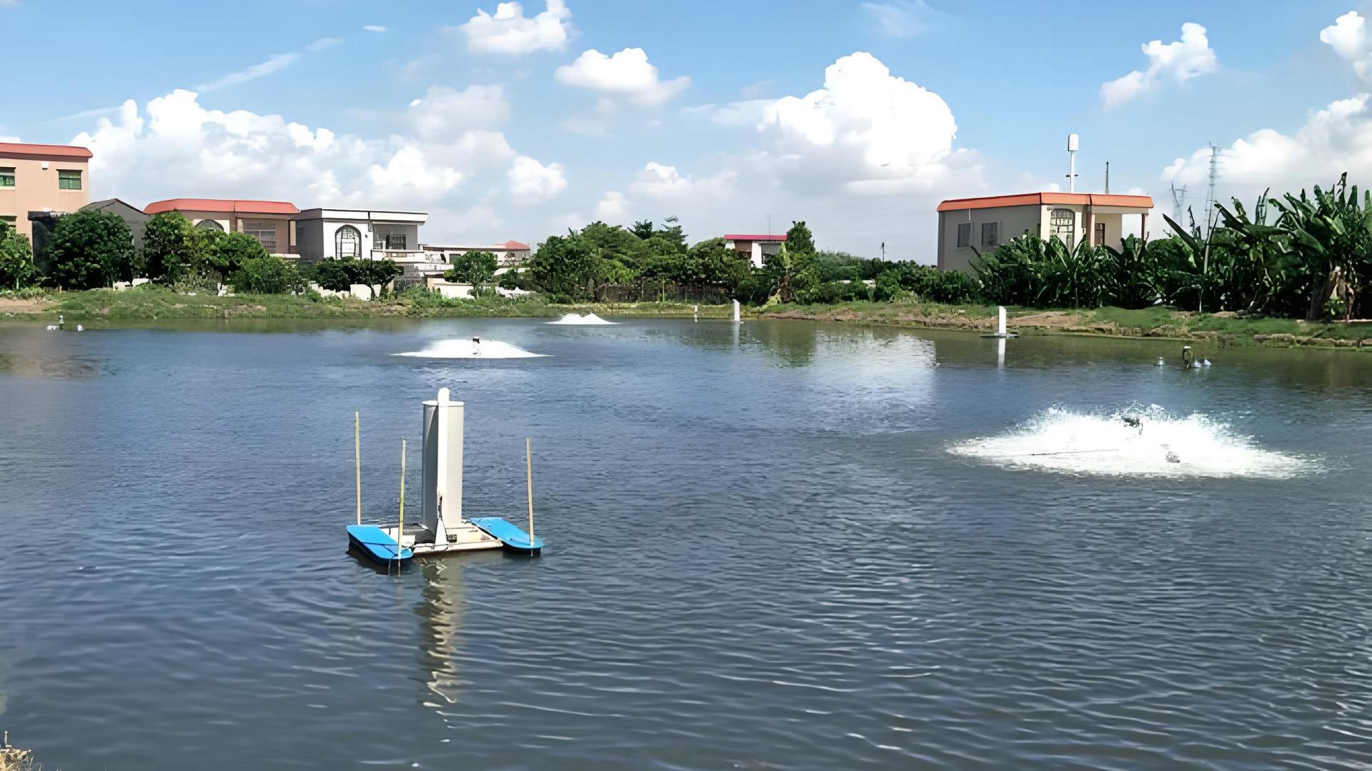 第09篇：溶氧不足是头号杀手！5招让你的鱼塘氧气充足