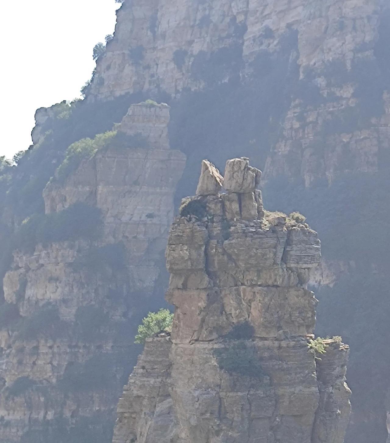 看《李世民传》有一点不明白，他俘虏窦建德，给窦包扎伤口还待之以上宾，又让窦劝降妻