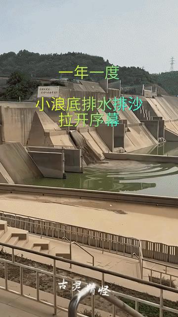 济源小浪底排沙泄洪，现场能感受到独特气场氛围，近距离观看更壮观