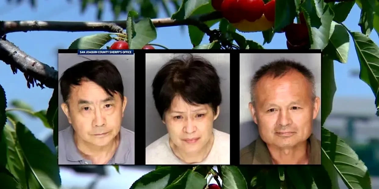 三个华人偷樱桃被抓，保释金好贵











---








