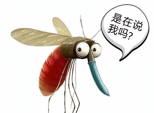 急急忙忙的把今天第三批货打包起来，刚才顺丰拉走了。
一块心事了了，今天的工作也算