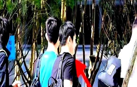 樊振东走了，去德国打球了。
可让人意想不到的是，才去了仅仅不到10天，他又回来了