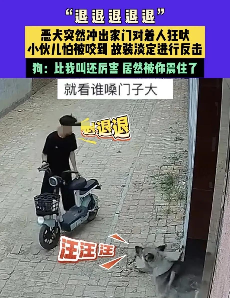 狗对着人：汪汪汪，人对着狗：退退退，但看得出小伙子的精神一定是高度紧张了，只是在
