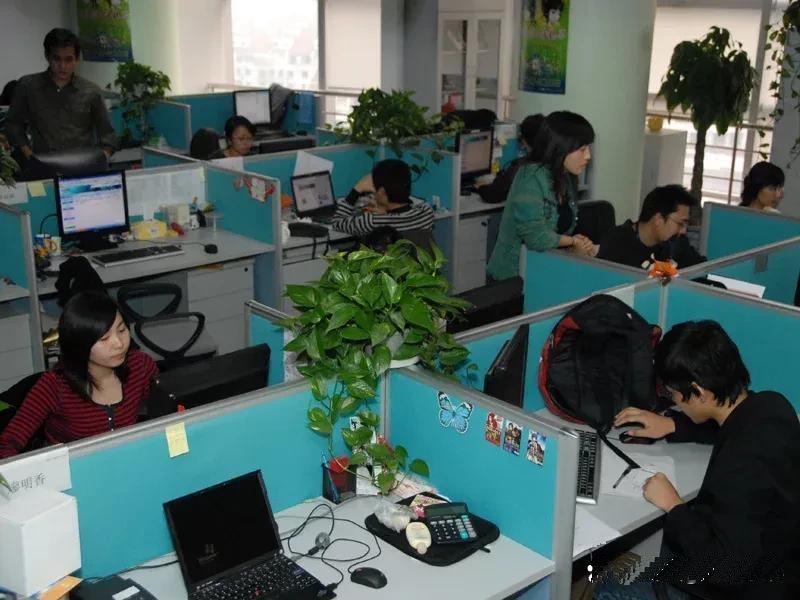 老板的悔悟：因小失大后重塑管理