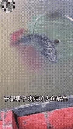 惊呆所有人：男子抓到一条大鱼，欣喜若狂，正准备把鱼拉上岸，突然发现大鱼身后跟着一