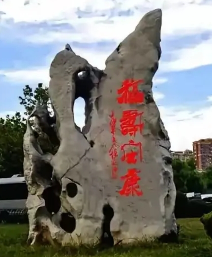 不懂只能来请教大家，你能认出这五个字吗？