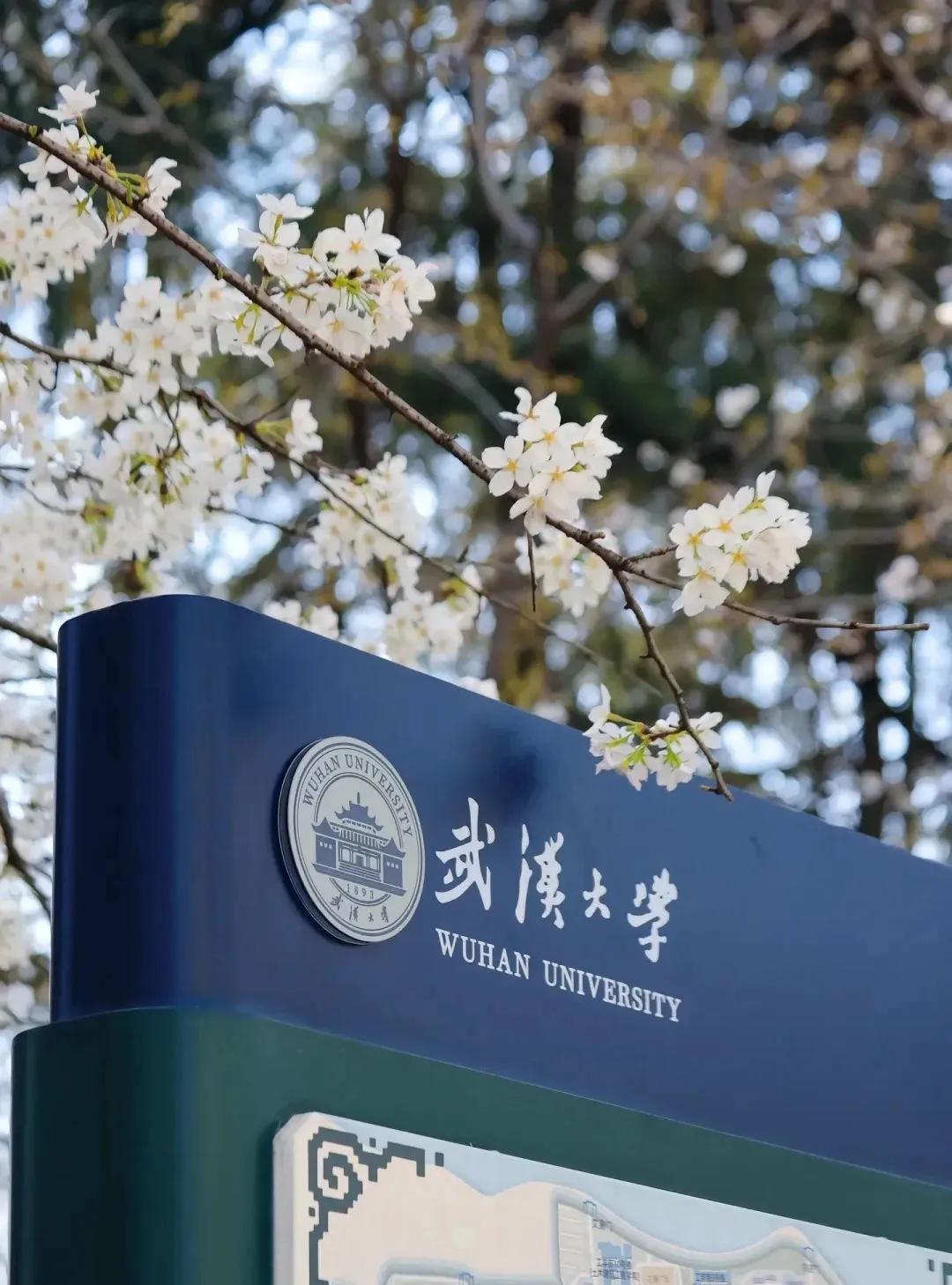 布局新兴交叉学科，武汉大学有这些学院，还有这些新兴交叉专业！
武汉数学与智能研究