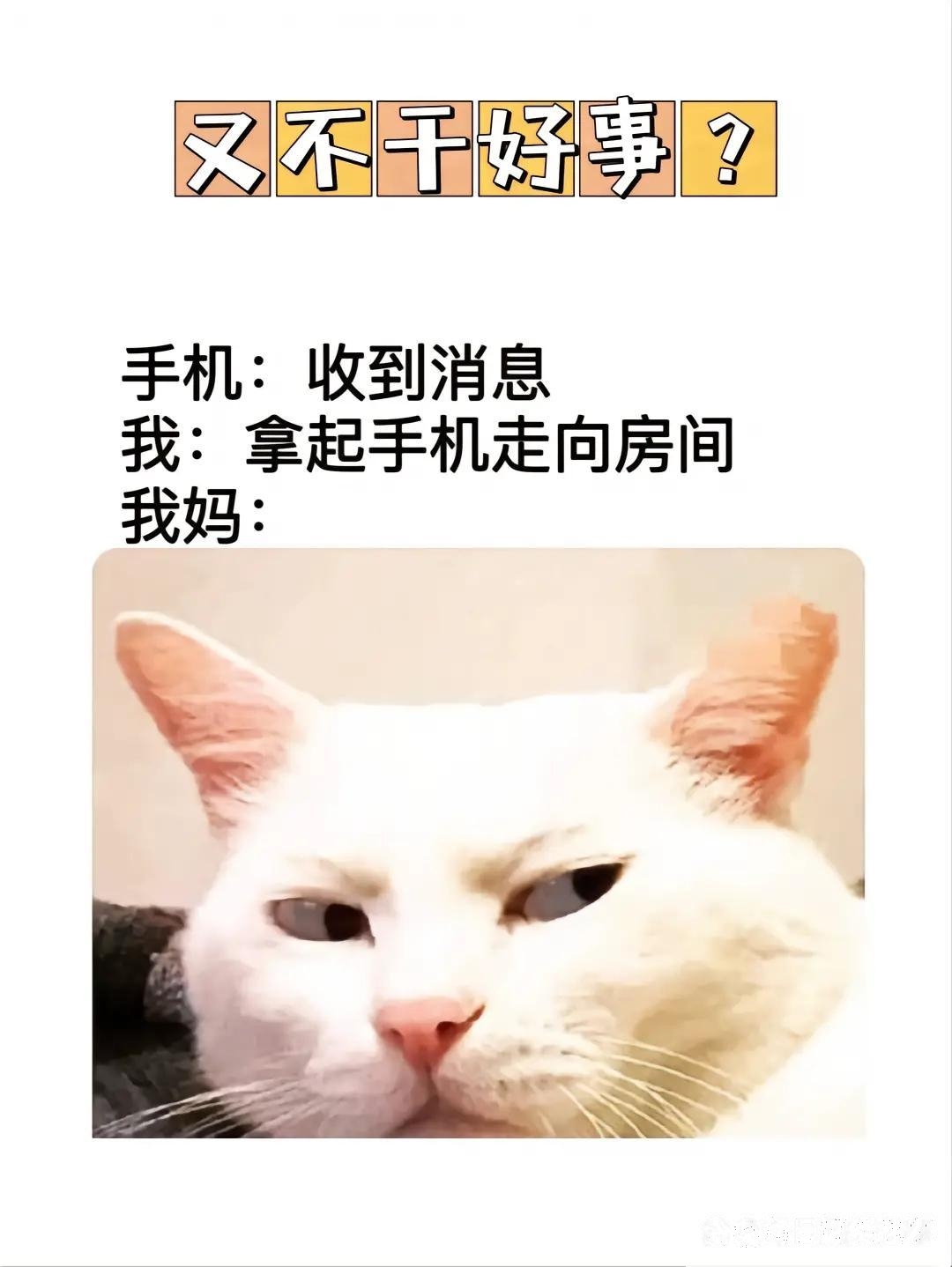 这是不是你的父母呢??？