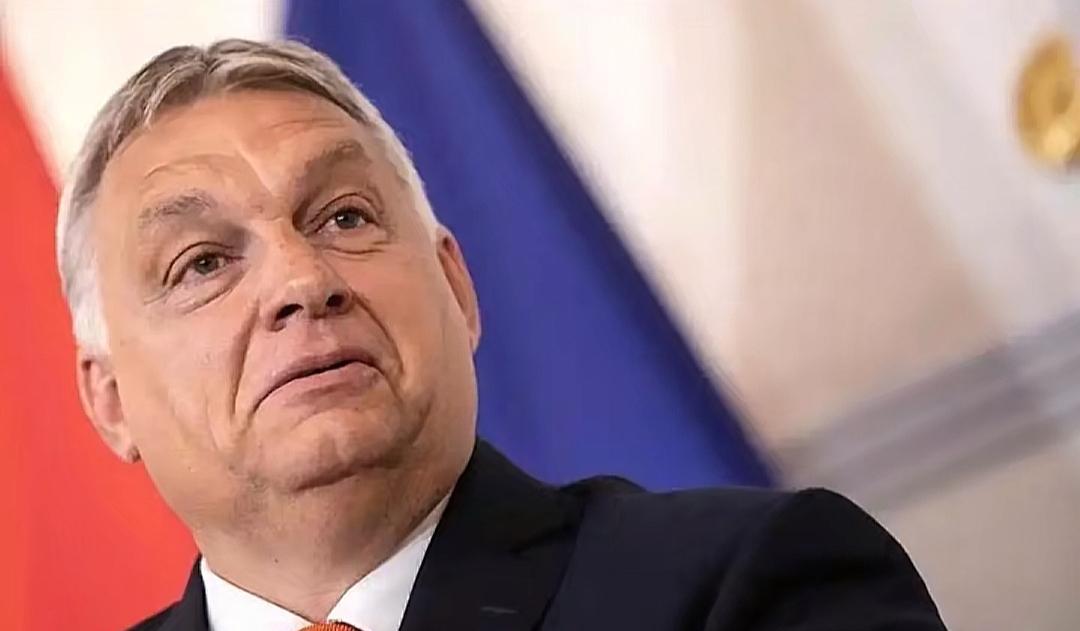 为什么欧美日韩澳新把俄罗斯那么大的市场直接让给中国？因为说白了，这群政客还是看不