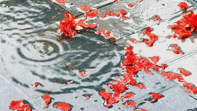 以术御商的胡雪岩，一个不那么纯粹的儒商