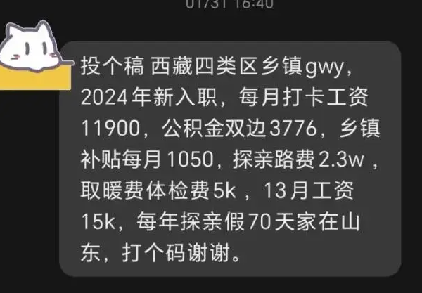 西藏四类地区公务员工资待遇 ​​​