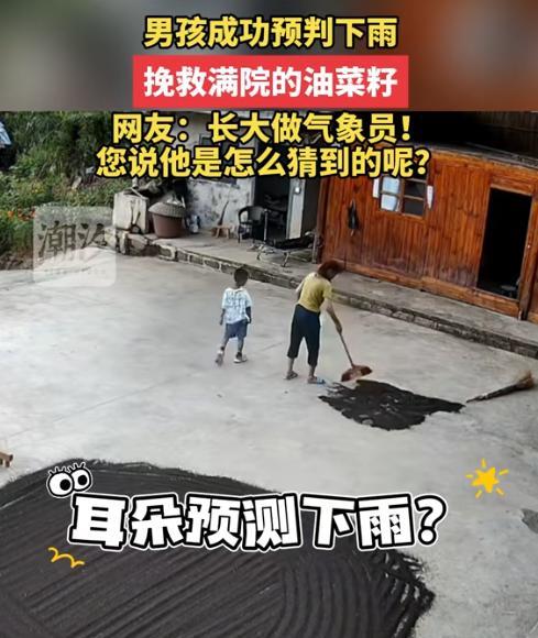 贵州，一个6岁小男孩在自家院子里溜达，突然他对奶奶说马上要下雨了，奶奶说大晴天的