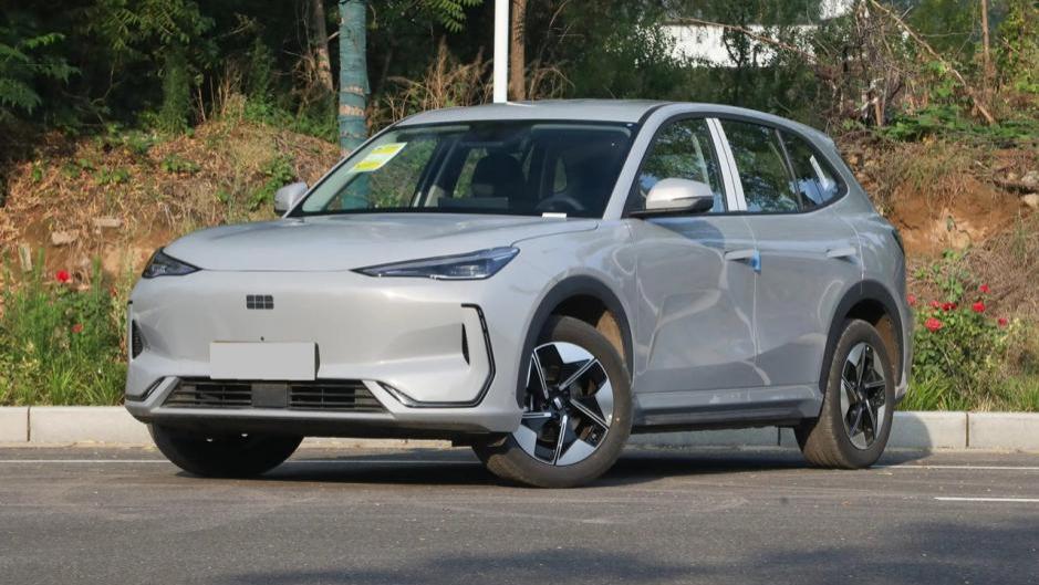 银河E5确实动到了海豚的市场，销量也在慢慢爬升，后期不可小觑