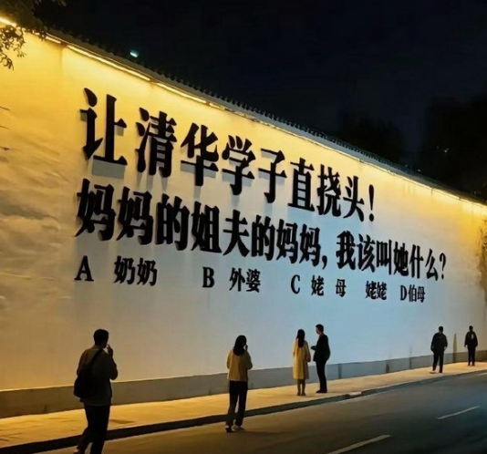 清华的学生看了也直挠头