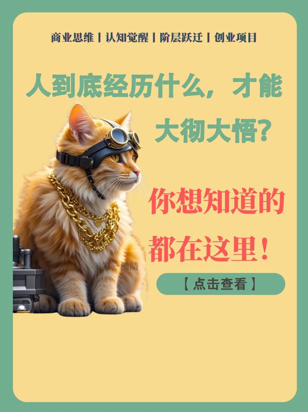 人到底要经历什么，才能大彻大悟？