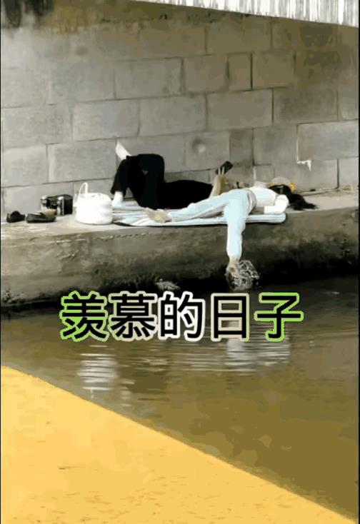 大桥下河岸边，炎炎夏日，惬意人生自己创造。