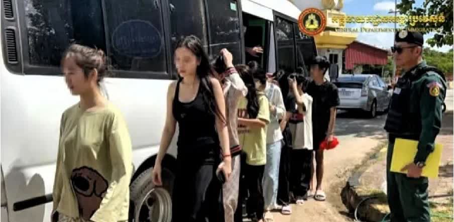 入行四个月
在柬埔寨诈骗近千万
这个姜彤，一个曾经在大连夜场混迹的女子，因家