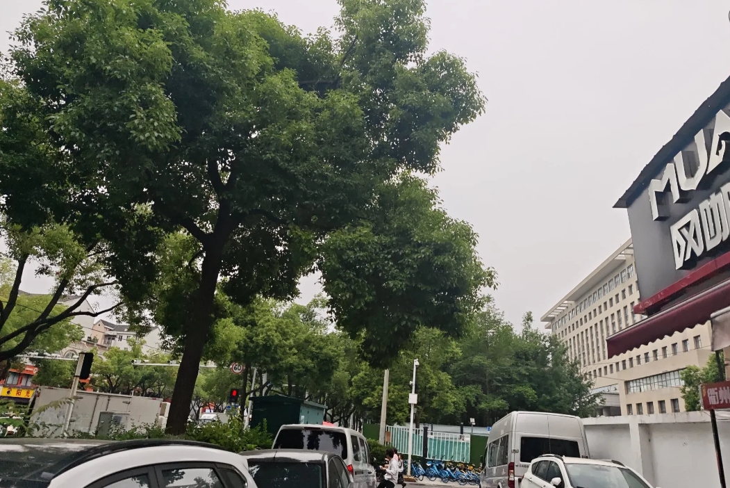 假如张三知晓自己病重，只剩三个月生命，便在网上各网贷平台借款，共借 50 万给家