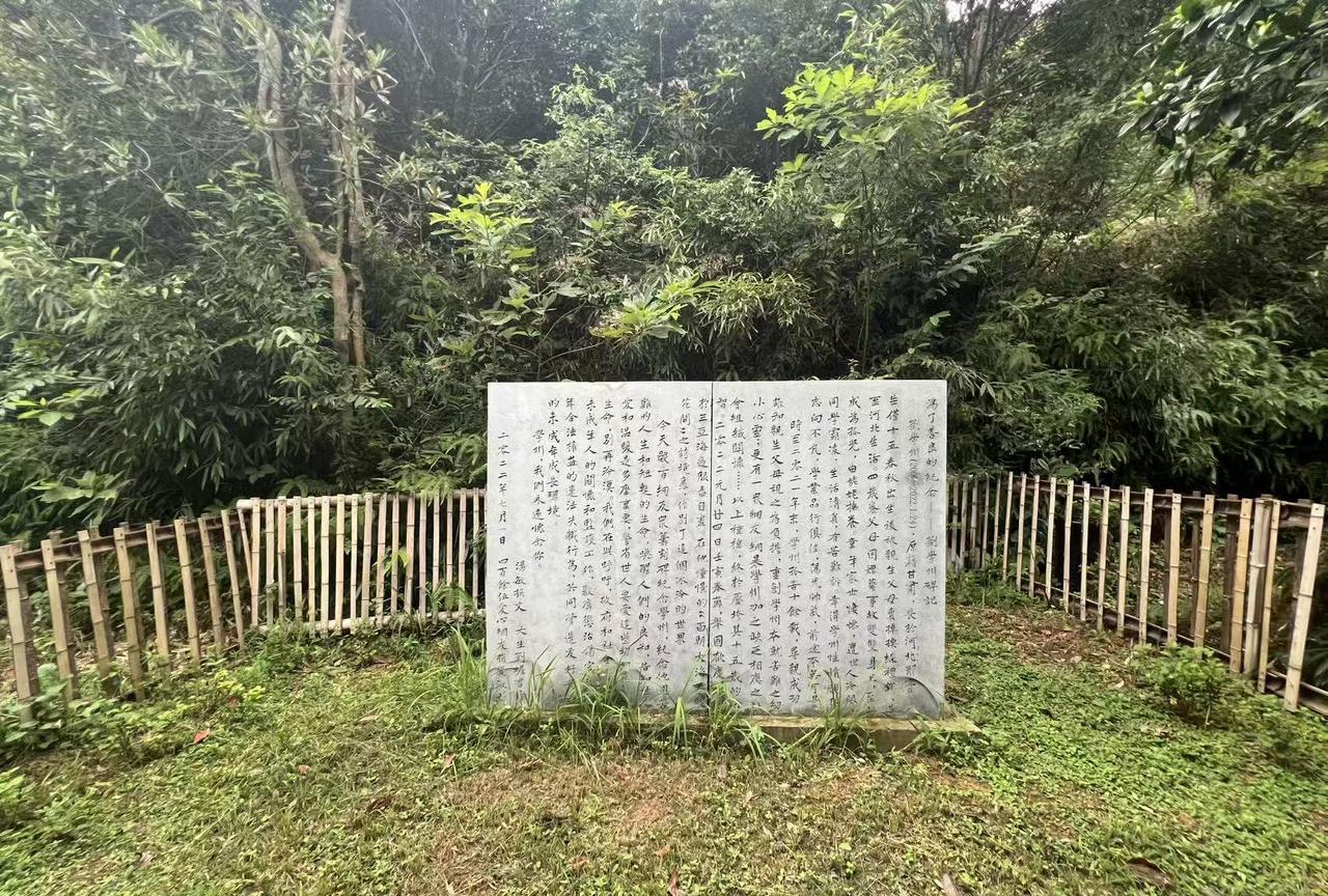 好友邓飞告诉我，他们之前在花开岭上为刘学州立了块碑
他也一直为这个孩子感到伤悲