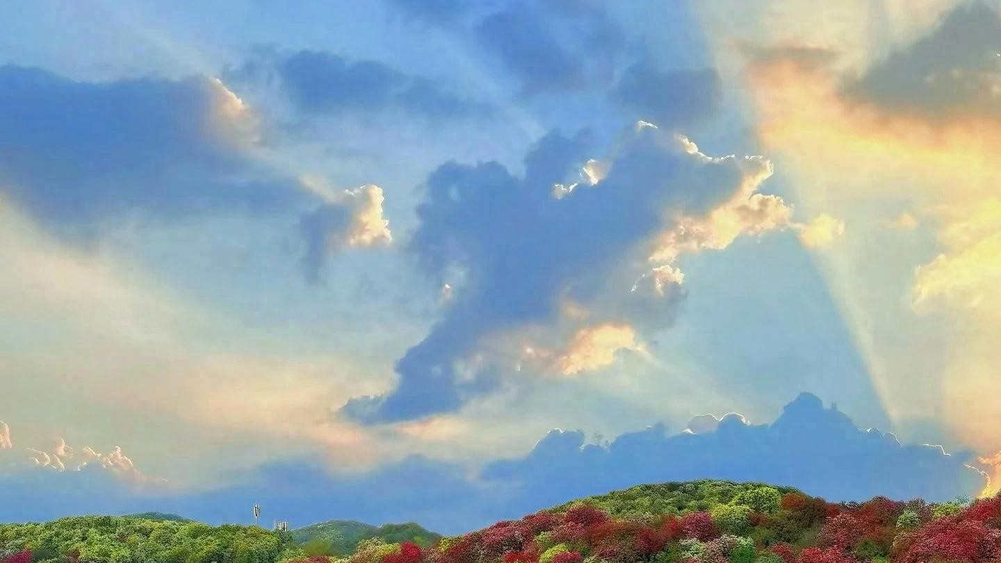 春风十里，不如毕节一游：花海盛宴，秘境探险，味蕾之旅