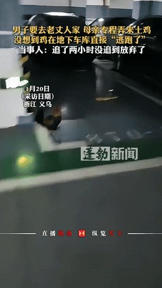 男子带土鸡见丈人 鸡跑了追不上

                       