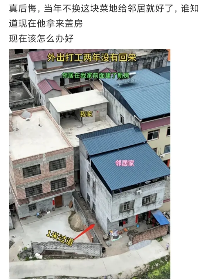 真后悔，当年不换这块菜地给邻居就好了