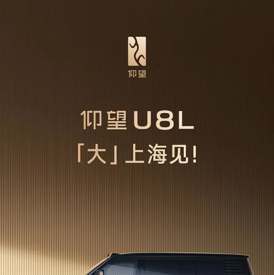 听我一句劝，2025年不论买不买车，你会感激我。
1、要面子——买特斯拉
2