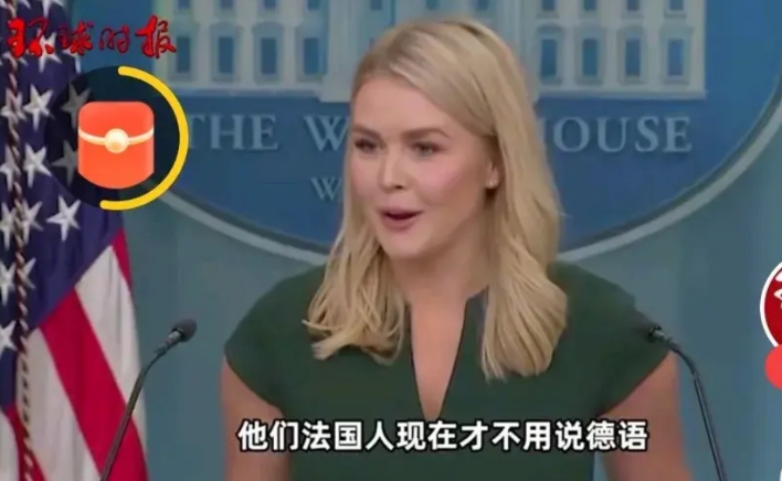 莱维特忘记了美国历史！
莱维特在3月17日新闻简报会上回应法国议员关于美国应退还