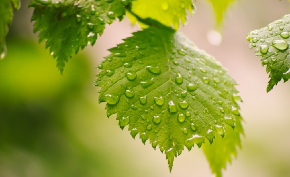公司的技术员月薪8500，3年了没加薪，他提出离职，老板没挽留，随后以10000