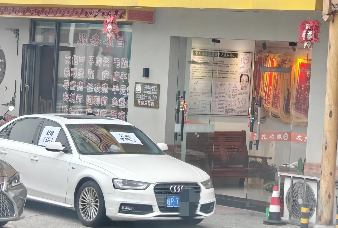 好狗不挡门，
不知道奥迪车主看到后，
[捂脸]是怎样的表情？