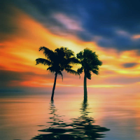 痴情的告白哈哈