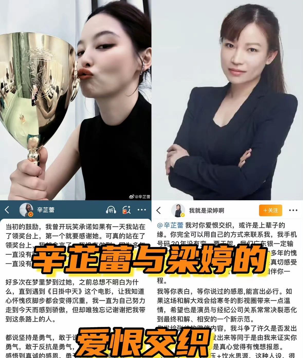 以前只知道辛芷蕾工作室出图厉害，没想到公 关也是杠杠滴！
人怕出名猪怕壮，辛芷蕾