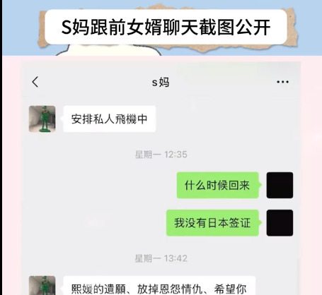 大S后事安排及S妈反应











大S走了，留下两个孩子和一堆麻烦事