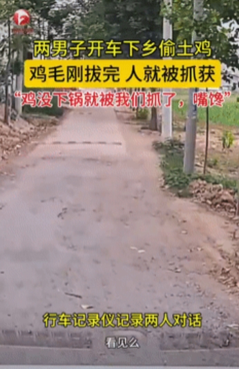 “太刑了！”安徽，两名男子开车跑到农村，用弹弓打走了两只正在路边“溜达”的大公鸡