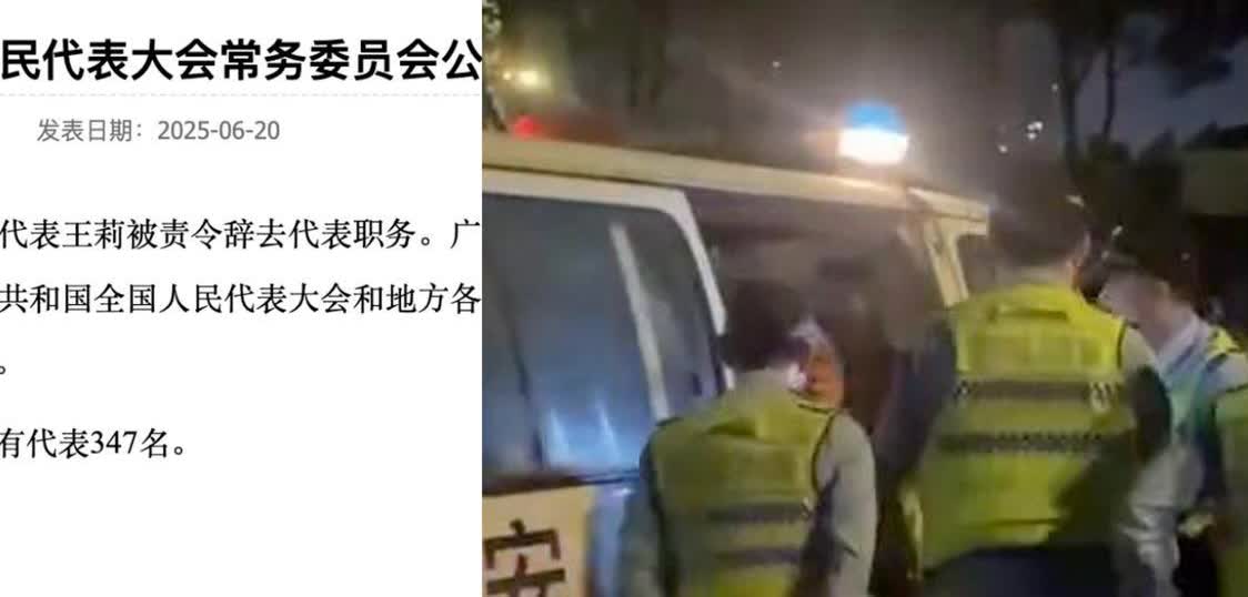 喊人大代表可喝酒的酒驾女子已辞职，本来只是酒驾的问题，现在连代表资格都没有了，对