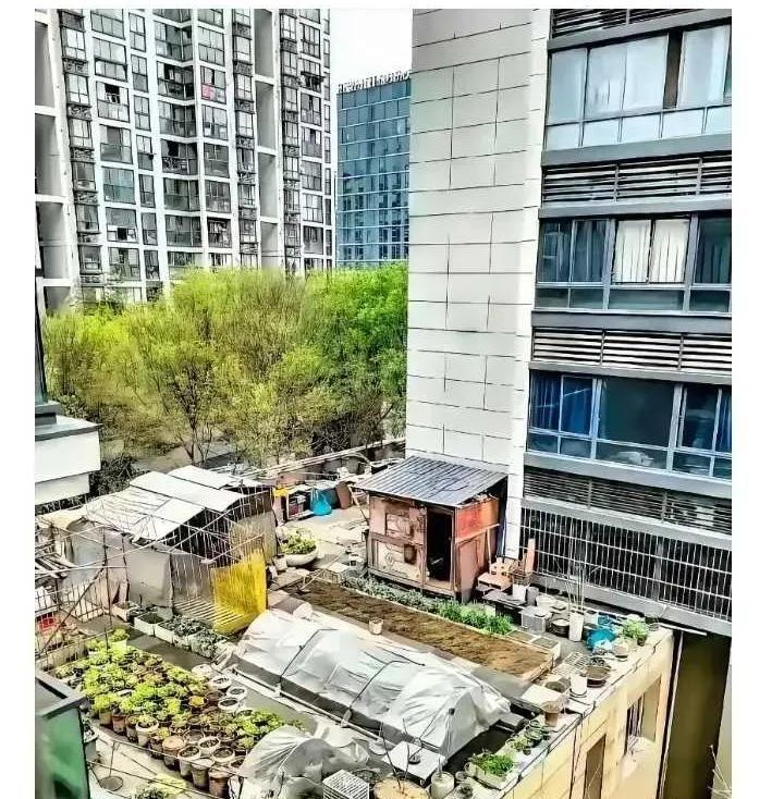网友：小区都弄成这样了，物业难道不管吗？