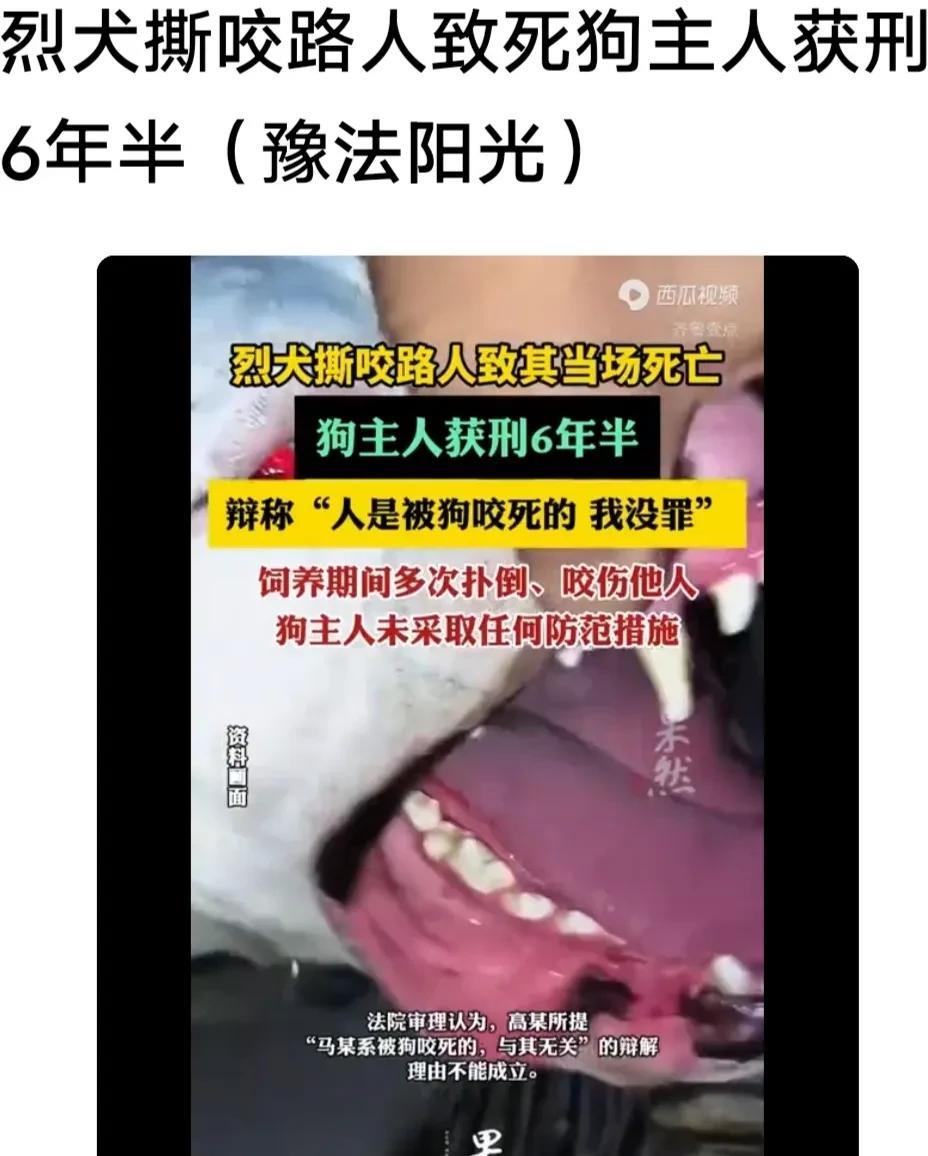 烈犬撕咬路人至亡，狗主人获刑六年六个月。烈犬不能养，咬人容易出事的。
这条闯祸的