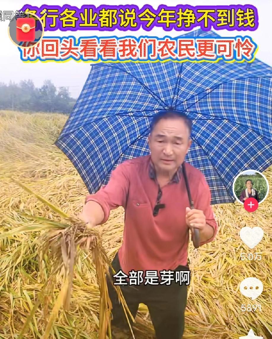 去日本种地，可以速成亿万富翁
日本年轻人不种地，都是六七十年的大叔、大娘在种。