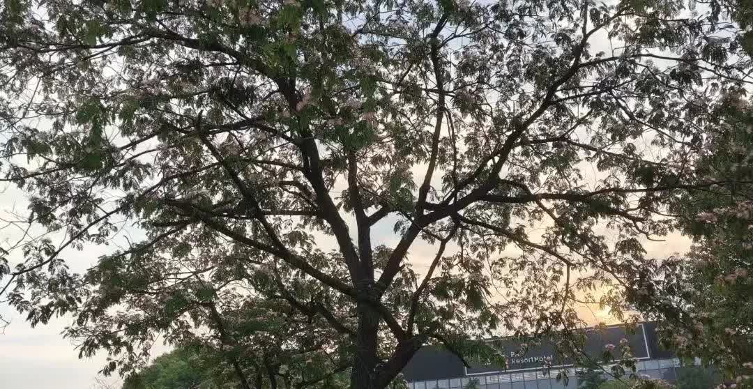 近日，合肥至北京的列车上，21岁的女孩报警称，上铺34岁男子多次摸自己脚，该男子
