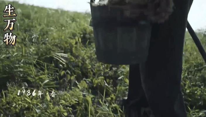 《生万物》倒叙独白藏刀！开局就暗示全员BE看哭全网  
刷到唐柒柒的解析视频直接
