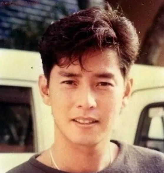 1981年，杨洁薇和谭咏麟秘密结婚，为了谭咏麟甘愿做丁克，多次人流导致不孕，15