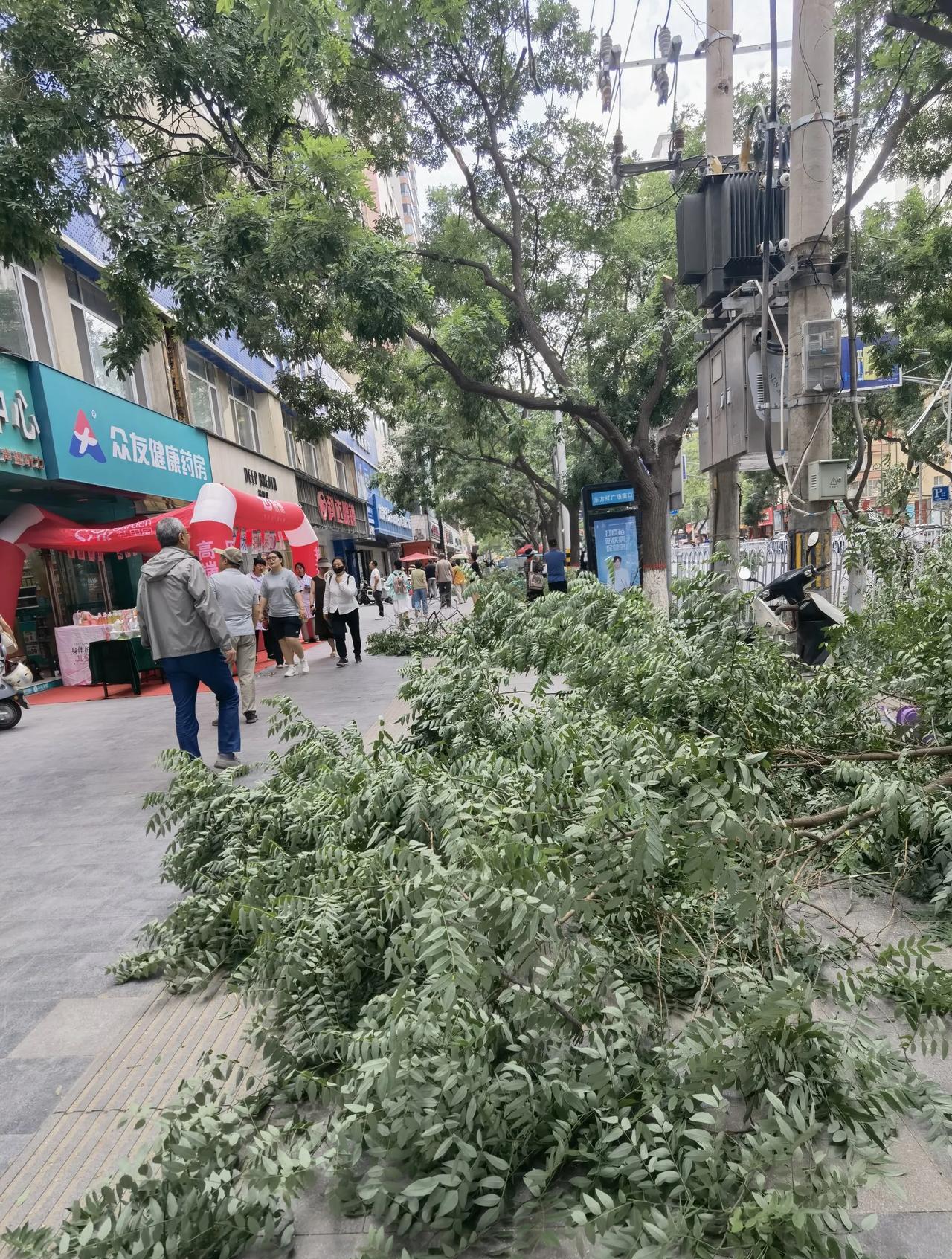 皋兰路行道树今日修身！路过皋兰路，忽然，断枝枯树，残枝败叶，摆在了人行道上……皋