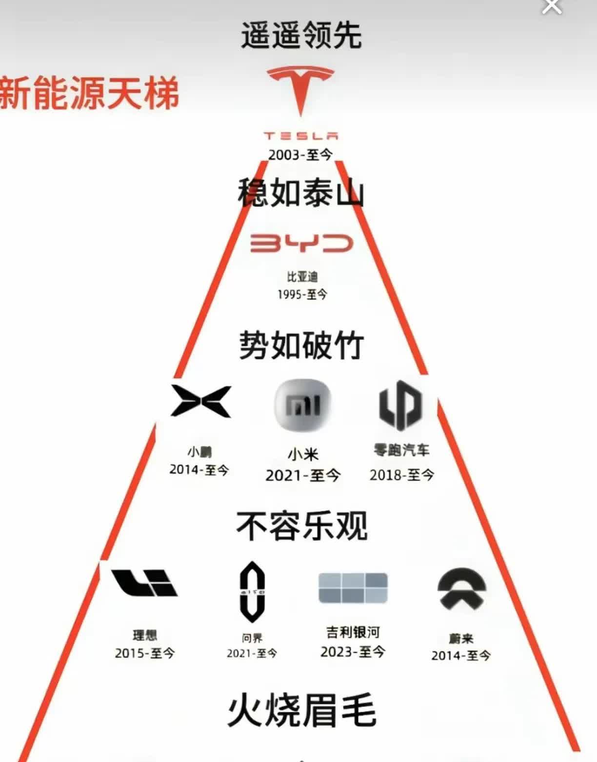 2025年新能源汽车格局