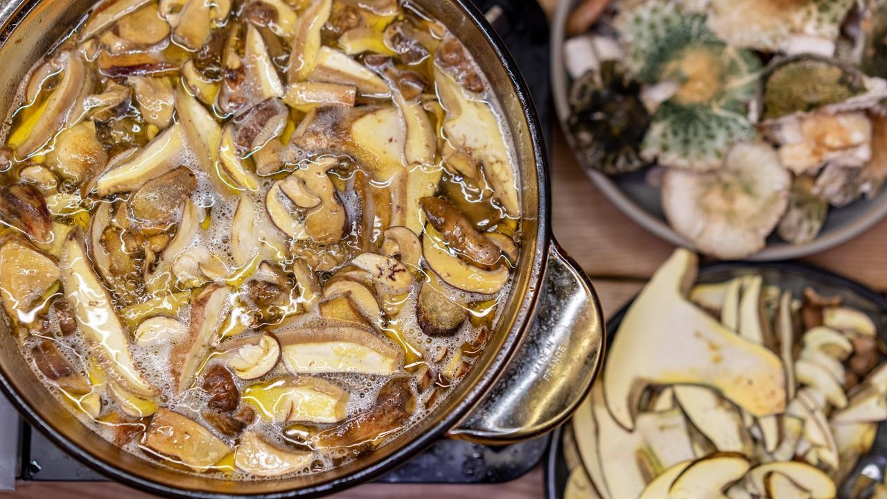 吃野生菌全云南最猛！这座常年被遗忘的小城最适合七八月避暑逛吃