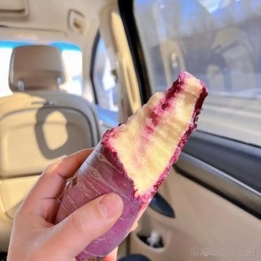 这种水果萝卜有人吃过吗？我一路吃了8根