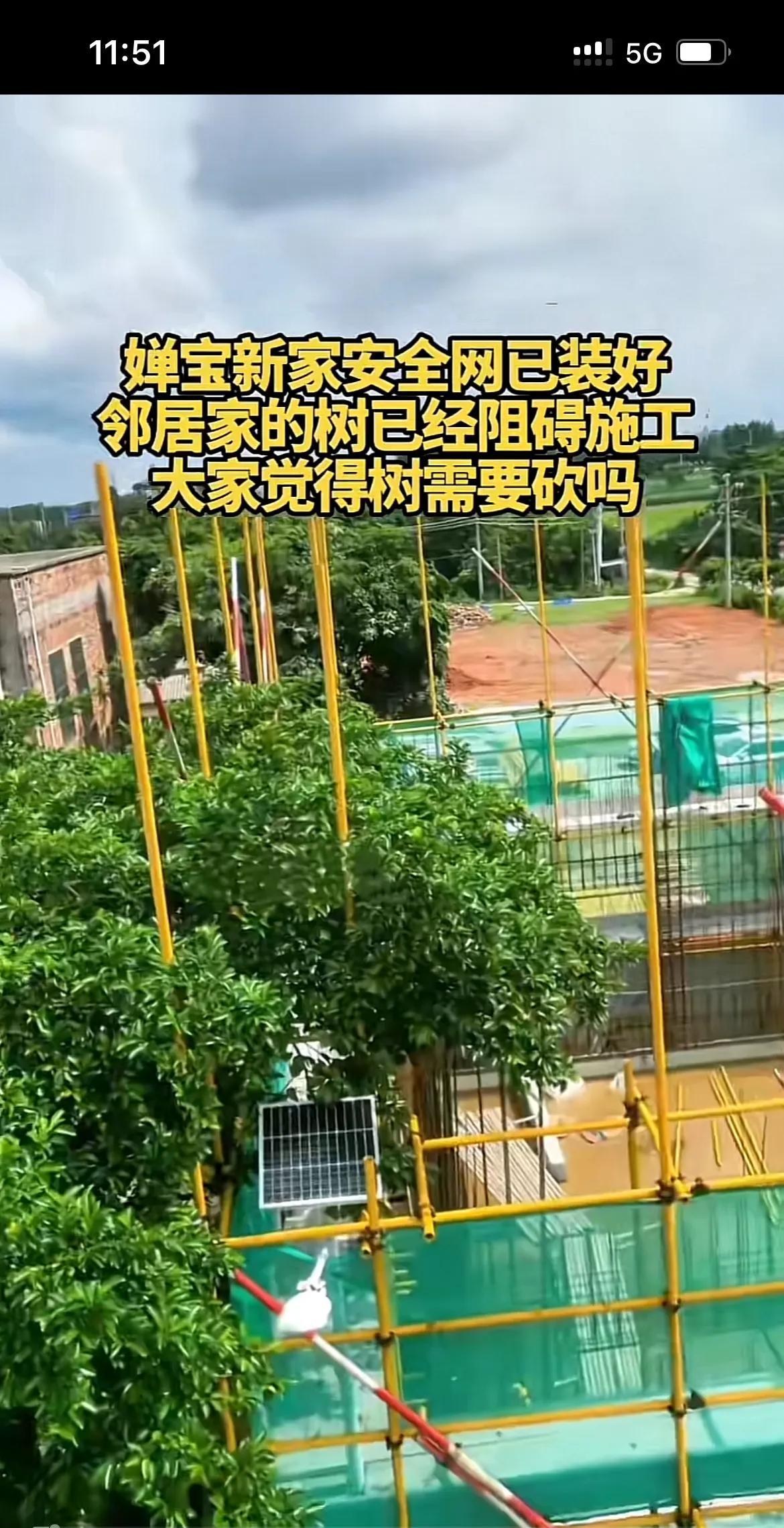 全红婵家人品太差了，俗话说，远亲不如近邻，看看她家里建房子，邻居家的树阻碍全红婵