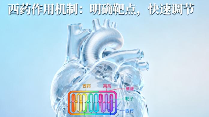 正确认识药物干预——当谈到“心律”时，我们在谈论什么？