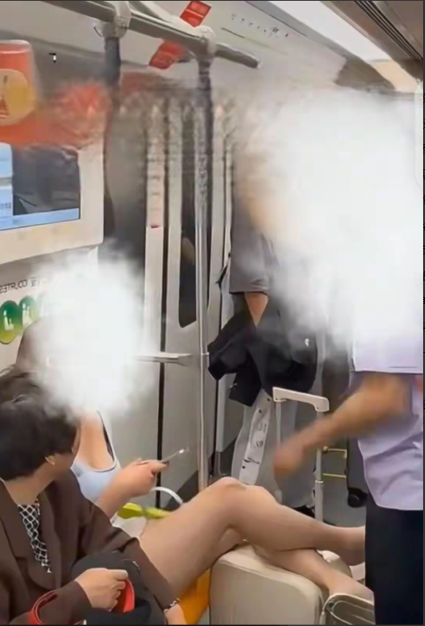 真正的小仙女来了，你喜欢这种吗？

上海2号线地铁上，一男子手抓着扶杆，靠边站着
