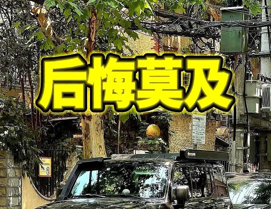 给大家一句忠告！

本人坦克300换电车的教训，如果你手里有燃油车，不管新的